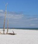 Dueodde Strand Dueodde Strand