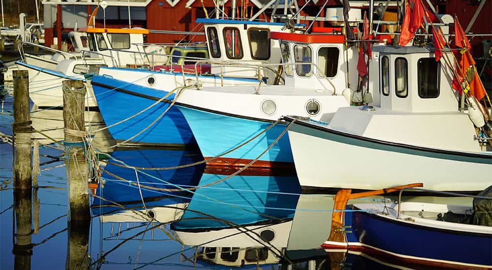 Fritidsfiskere på Kaløvig Havn