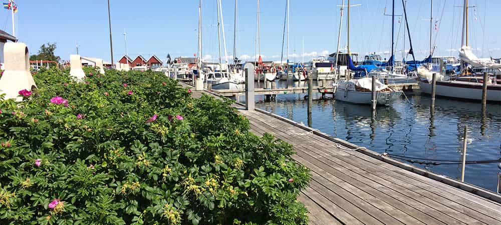 Agersø Lystbådehavn Agersø Lystbådehavn