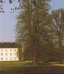 Augustenborg Slotspark Augustenborg Slotspark