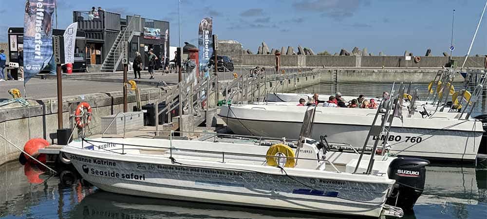 Safari fra Thyborøn Havn Safari fra Thyborøn Havn